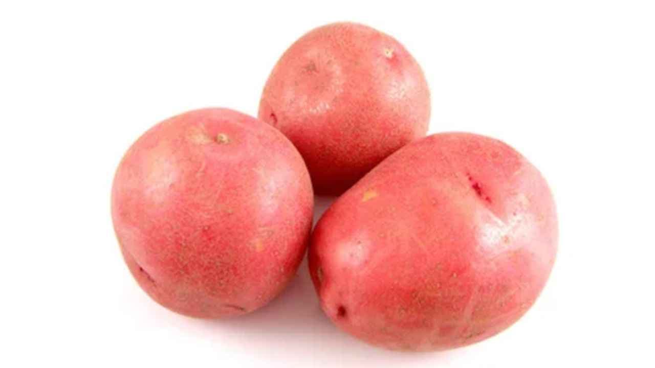 लेडी रोसेटा — प्रसंस्करण के लिए विश्व की सबसे उत्तम आलू किस्म | भारत गाइड