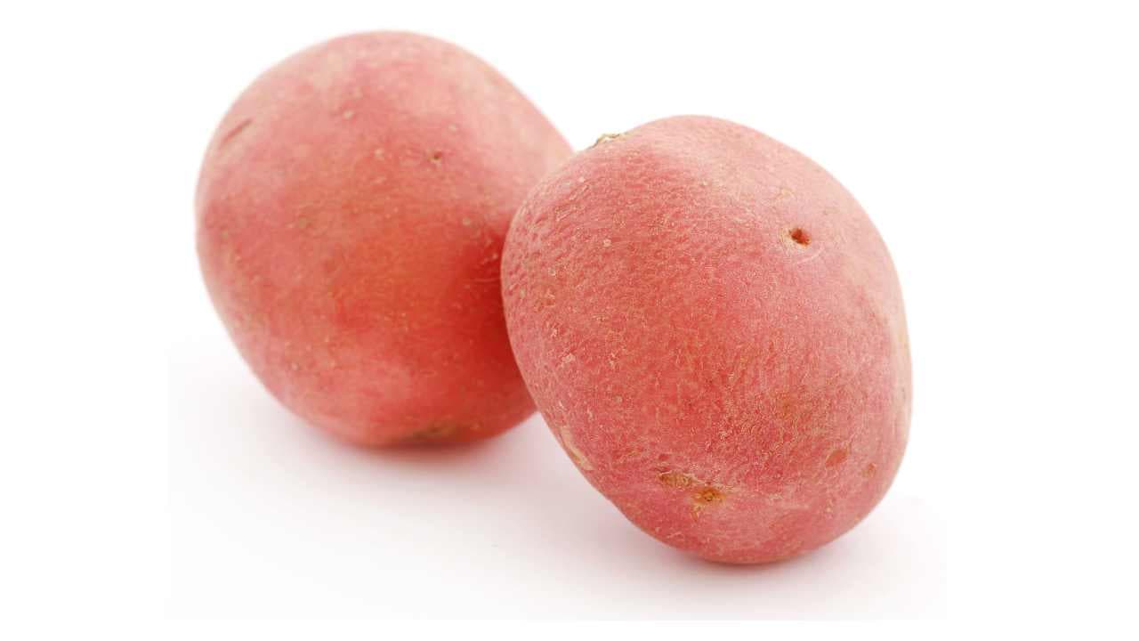 आलू का रेट कब बढ़ेगा 2026 — ऐतिहासिक 30x गिरावट के बाद जून से सुधार