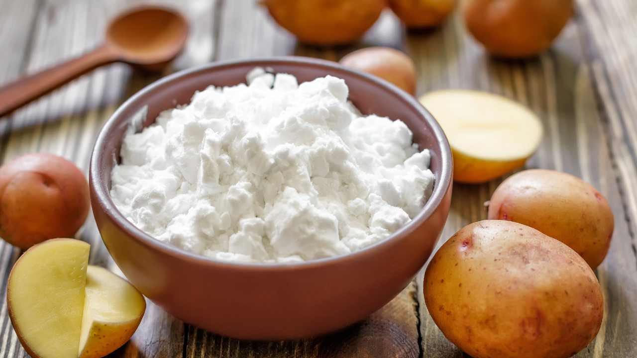 भारत में आलू स्टार्च उत्पादन — संपूर्ण उद्योग गाइड