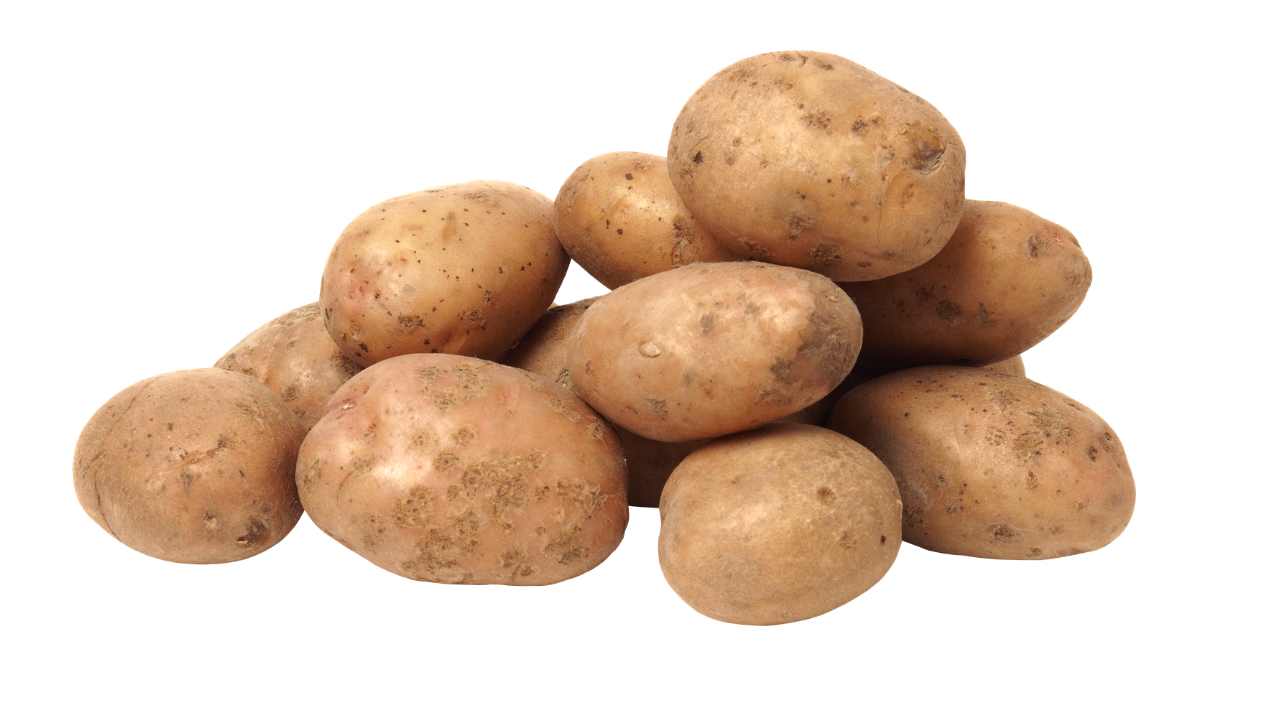 आलू की खेती कैसे करें — पूरी गाइड