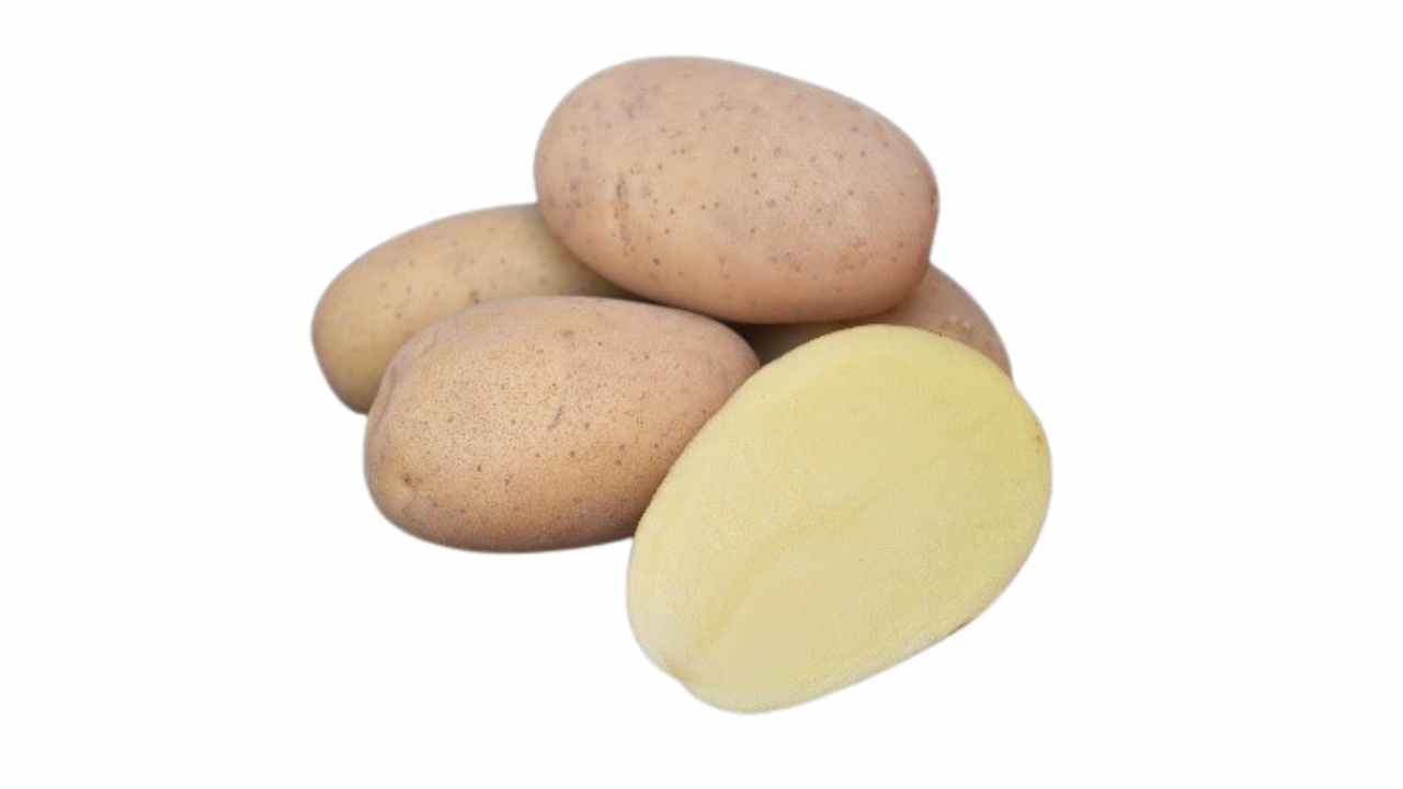 एम्बर डिलाइट आलू किस्म — टेक्निको एग्री साइंसेज द्वारा विकसित