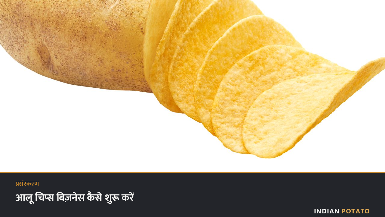आलू चिप्स प्रसंस्करण इकाई — कटे आलू, फ्रायर और पैकेजिंग की प्रक्रिया