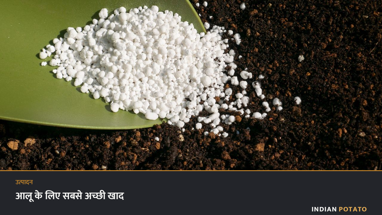 आलू के लिए सबसे अच्छी खाद — NPK उर्वरक