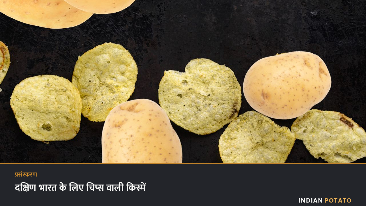 गहरे रंग की सतह पर आलू के चिप्स और साबुत कंद — दक्षिण और पूर्वी भारत के लिए परखे गए चिप्स वाले क्लोन