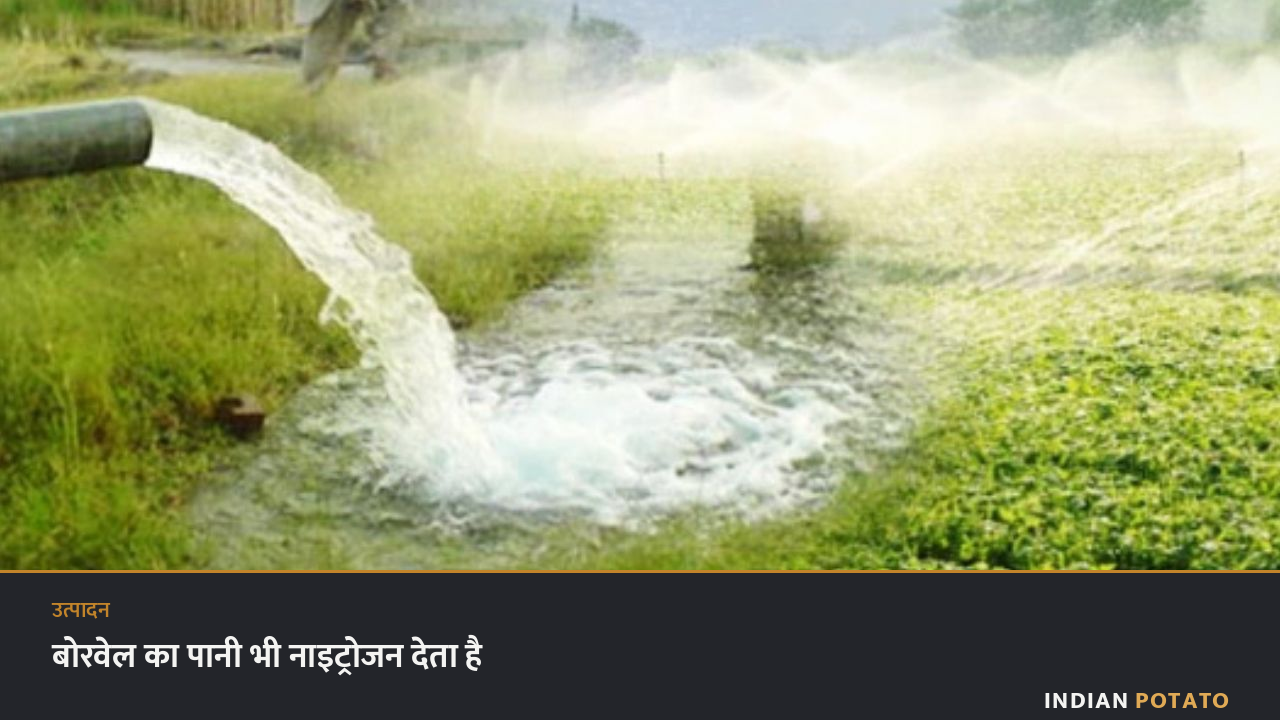 बोरवेल का पानी खेत की नाली में गिरता हुआ — भूजल का नाइट्रेट भी फ़सल को मिलने वाली नाइट्रोजन में गिना जाना चाहिए