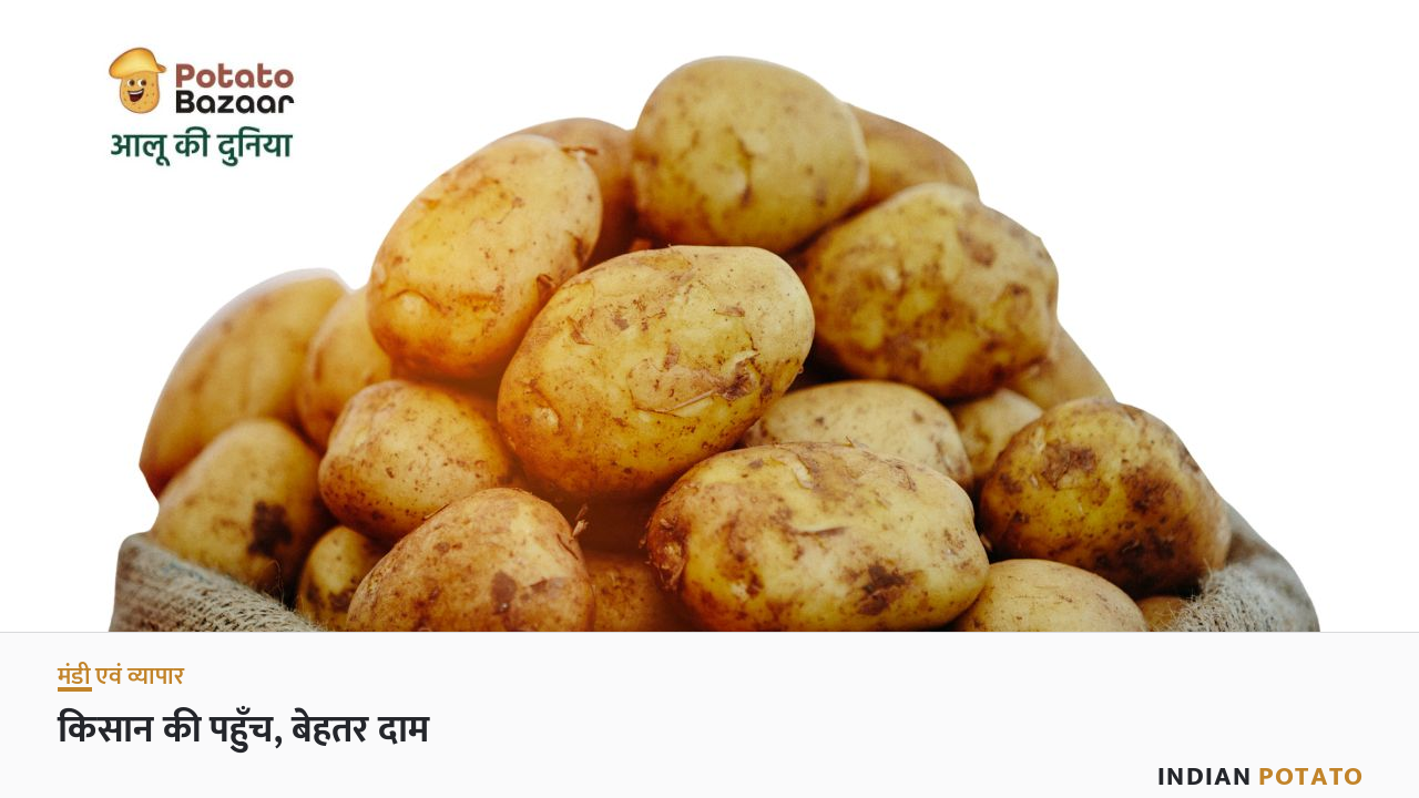 मंडी में आलू की बोरियाँ — बाज़ार-संपर्क और किसान की पहुँच