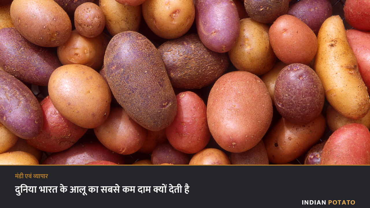 आलू का ढेर — दुनिया भारत के आलू का सबसे कम दाम क्यों देती है