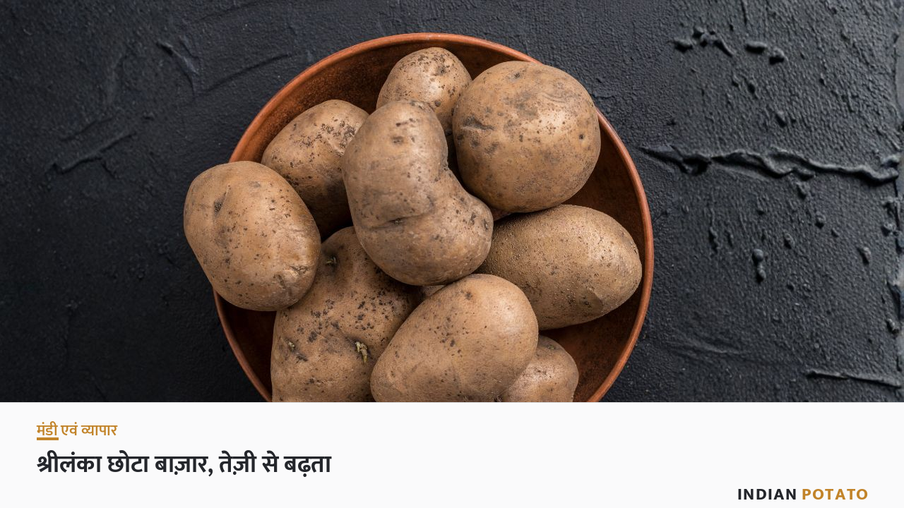 मिट्टी के कटोरे में ताज़े आलू — भारत के श्रीलंका के साथ आलू व्यापार का प्रतीक