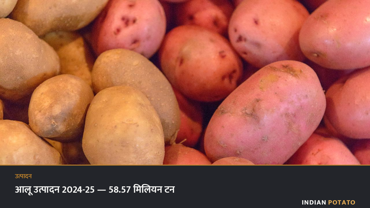 भारत में आलू उत्पादन 2024-25 — सरकारी अंतिम अनुमान 58.57 मिलियन टन