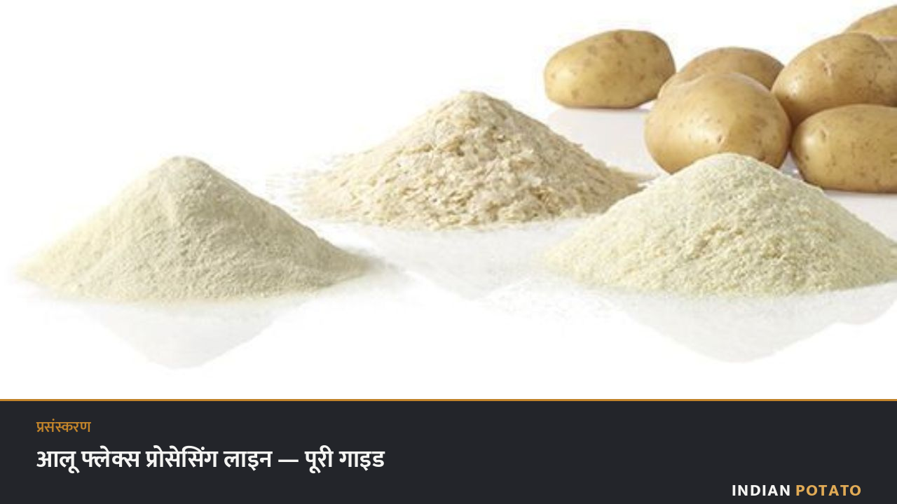 आलू फ्लेक्स प्रोसेसिंग लाइन — उपकरण और प्रक्रिया