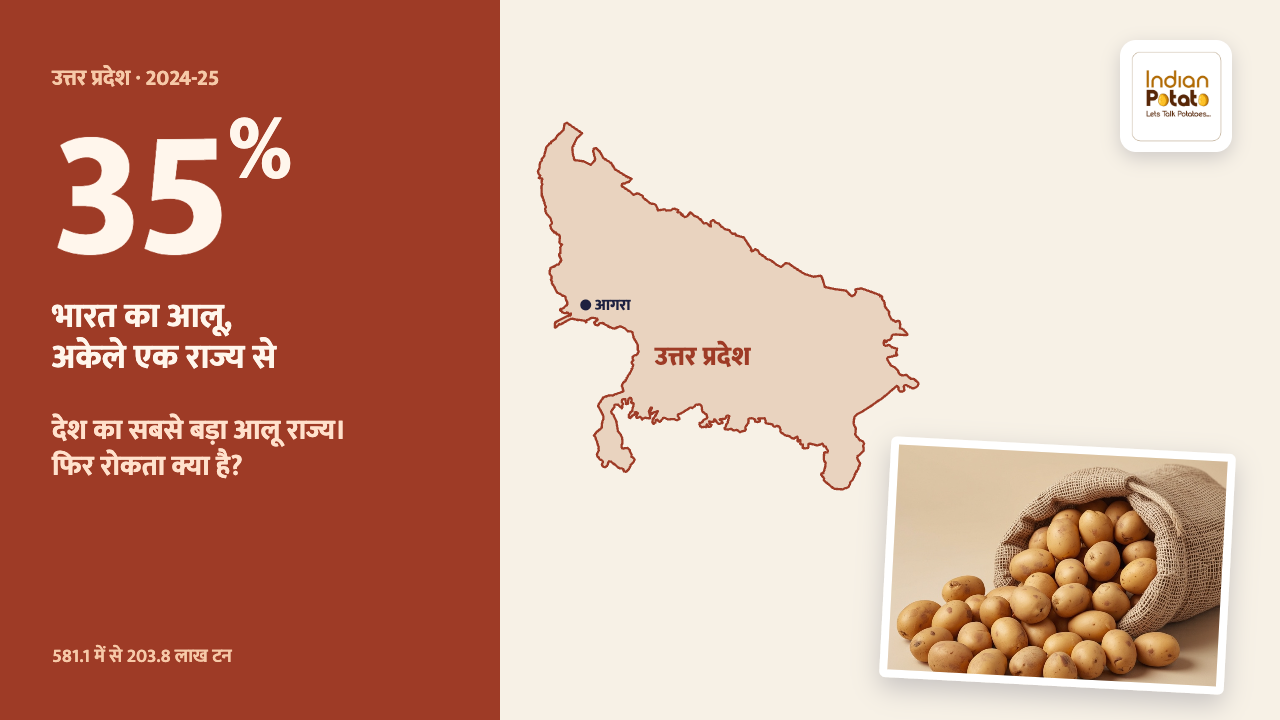 उत्तर प्रदेश आलू उत्पादन — यूपी का नक्शा और आलू की बोरी, 2024-25 में भारत के आलू का 35%