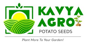 काव्या एग्रो पोटैटो सीड