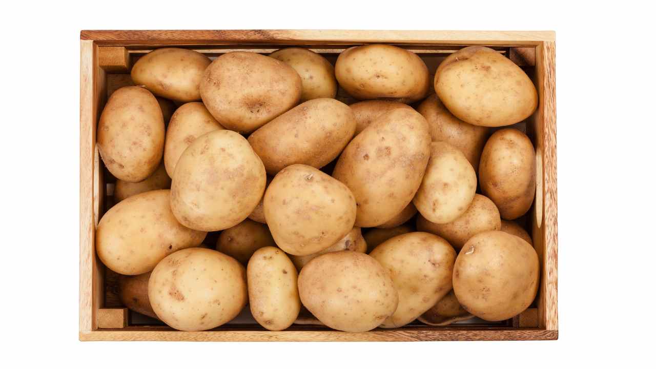 भारत में आलू कोल्ड स्टोर — सब्सिडी, लोन और निर्माण गाइड 2026