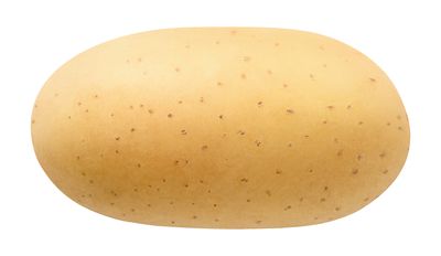 त्रिपुरा का 2030 तक आलू में आत्मनिर्भर बनने का लक्ष्य