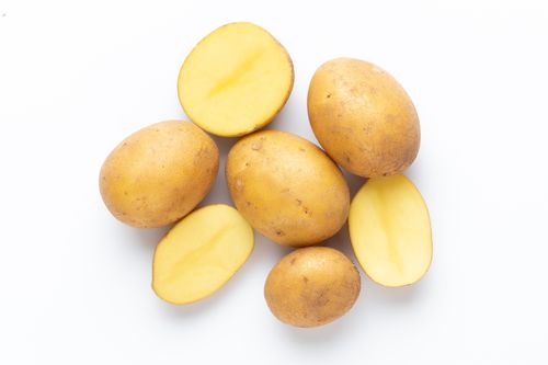 ICAR ने चार नई उन्नत आलू किस्मों को मंजूरी दी