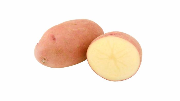 पंजाब आलू मंडी — बीज आलू राजधानी